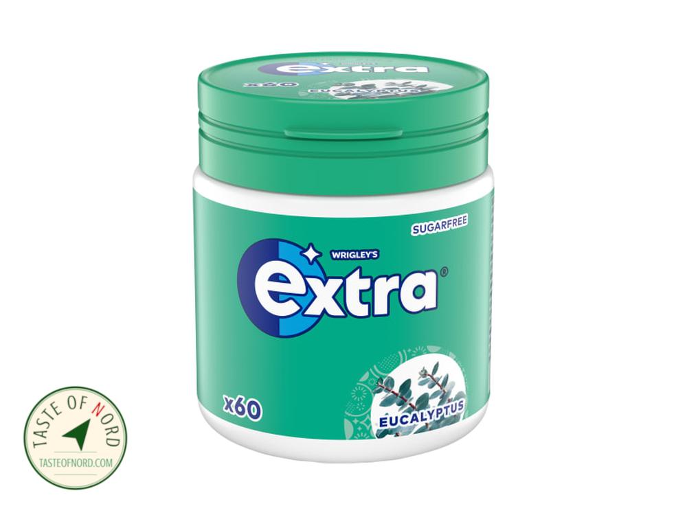 Extra Eucalyptus Sugar-Free Chewing Gum